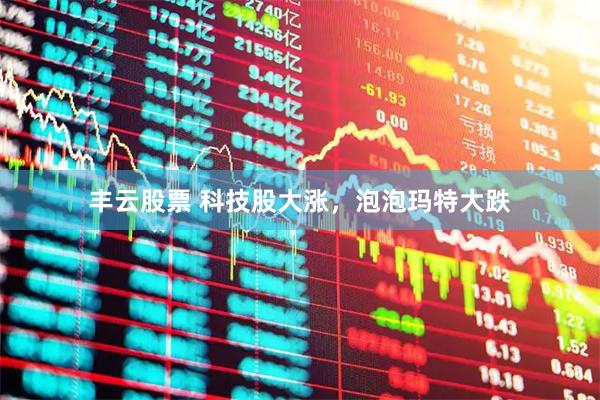 丰云股票 科技股大涨，泡泡玛特大跌