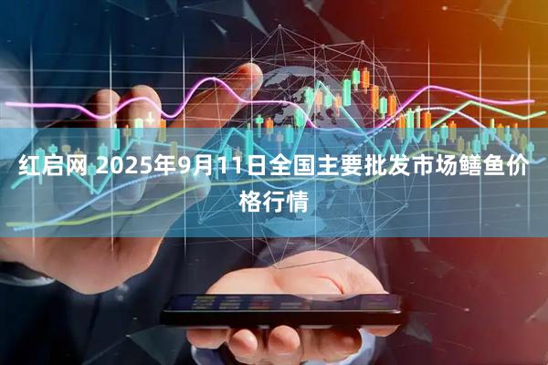 红启网 2025年9月11日全国主要批发市场鳝鱼价格行情