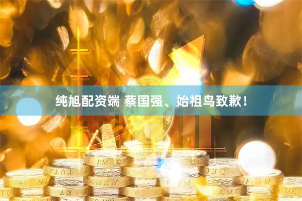 纯旭配资端 蔡国强、始祖鸟致歉！