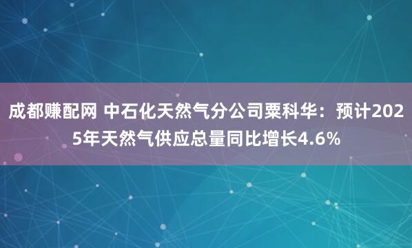 成都赚配网 中石化天然气分公司粟科华：预计2025年天然气供应总量同比增长4.6%