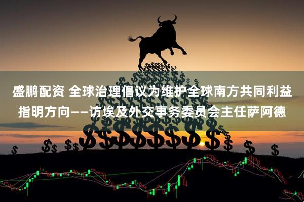 盛鹏配资 全球治理倡议为维护全球南方共同利益指明方向——访埃及外交事务委员会主任萨阿德
