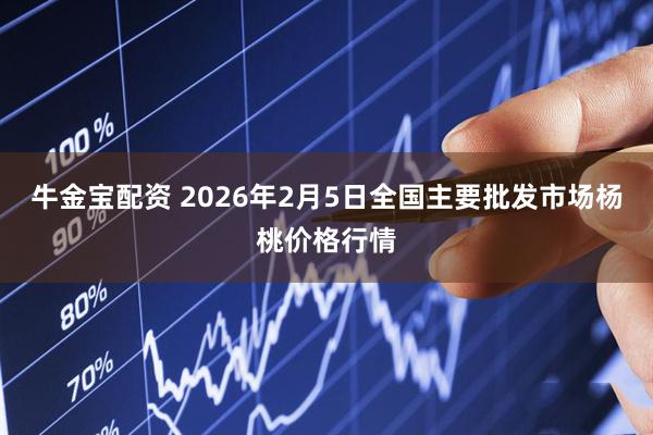 牛金宝配资 2026年2月5日全国主要批发市场杨桃价格行情